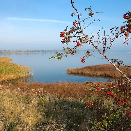 Gollwitzer Park Ruhepol * Insel Poel